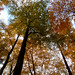 Hubert Beech Photo 9