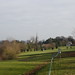 James Spires Photo 35