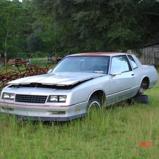 Robert Griffin Photo 46