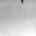 David Welles Photo 17