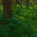 Alberta Freeman Photo 12