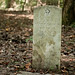 John Cunningham Photo 34
