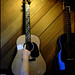 Francis Collins Photo 30