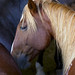 Jeff Pendleton Photo 12