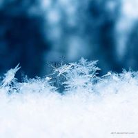 Erin Keiser Photo 5