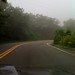 Jan Robles Photo 15