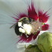 Sharon Newton Photo 6