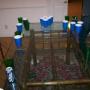 Patrick Blankenship Photo 29