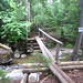 Lillian Brooks Photo 6