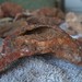 Crystal Cady Photo 14