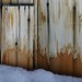 Douglas Denison Photo 9