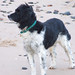 Millie Ross Photo 10