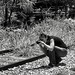 Heather Townsend Photo 16