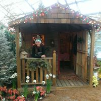 Amanda Sommers Photo 18
