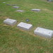 Patty Hill Photo 10