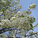 Paula Bradford Photo 15