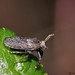 Alexander Hopper Photo 5