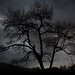Samuel Moody Photo 27