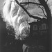 Janet Friedman Photo 17