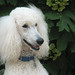 Jake Click Photo 9