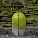 Clayton Stone Photo 16