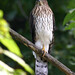 Terry Hawks Photo 16