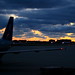 Dawn Hartsfield Photo 12