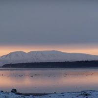 Diane Goodrich Photo 6