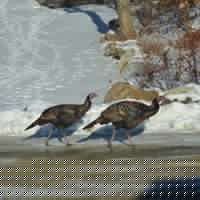 Nancy Hamilton Photo 24