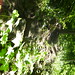 Bruce Nelles Photo 11