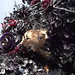 Janet Borden Photo 9
