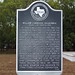 Elizabeth Cornelius Photo 12