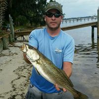 Austin Plummer Photo 3