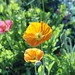 Louise Spring Photo 7