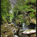 Glen Gray Photo 37