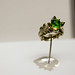 David Garnet Photo 13