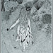 Carol Ferrier Photo 2