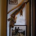 Dolores Fox Photo 8