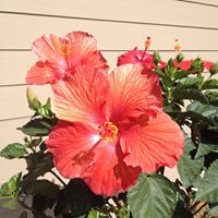 Barbara Cantwell Photo 23