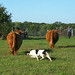 Gary Collie Photo 4