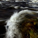 Walter Slack Photo 17