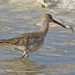 Linda Curry Photo 6