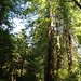 Jerry Samuels Photo 13