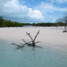 Coral Robinson Photo 3