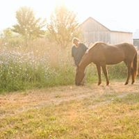 Terry Clifford Photo 12