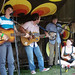Elizabeth Hanlon Photo 29