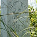 Elizabeth Newman Photo 16