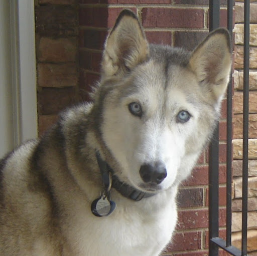 Carolyn Field Photo 31
