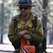 Tom Schultz Photo 27