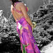 Danielle Lamb Photo 12